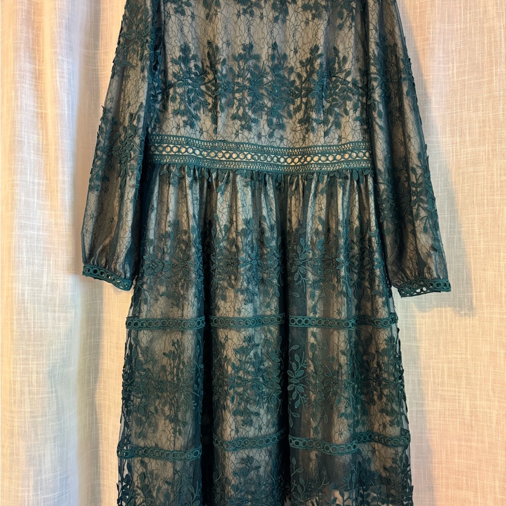 Ivy City Co Dark Sicily Dress